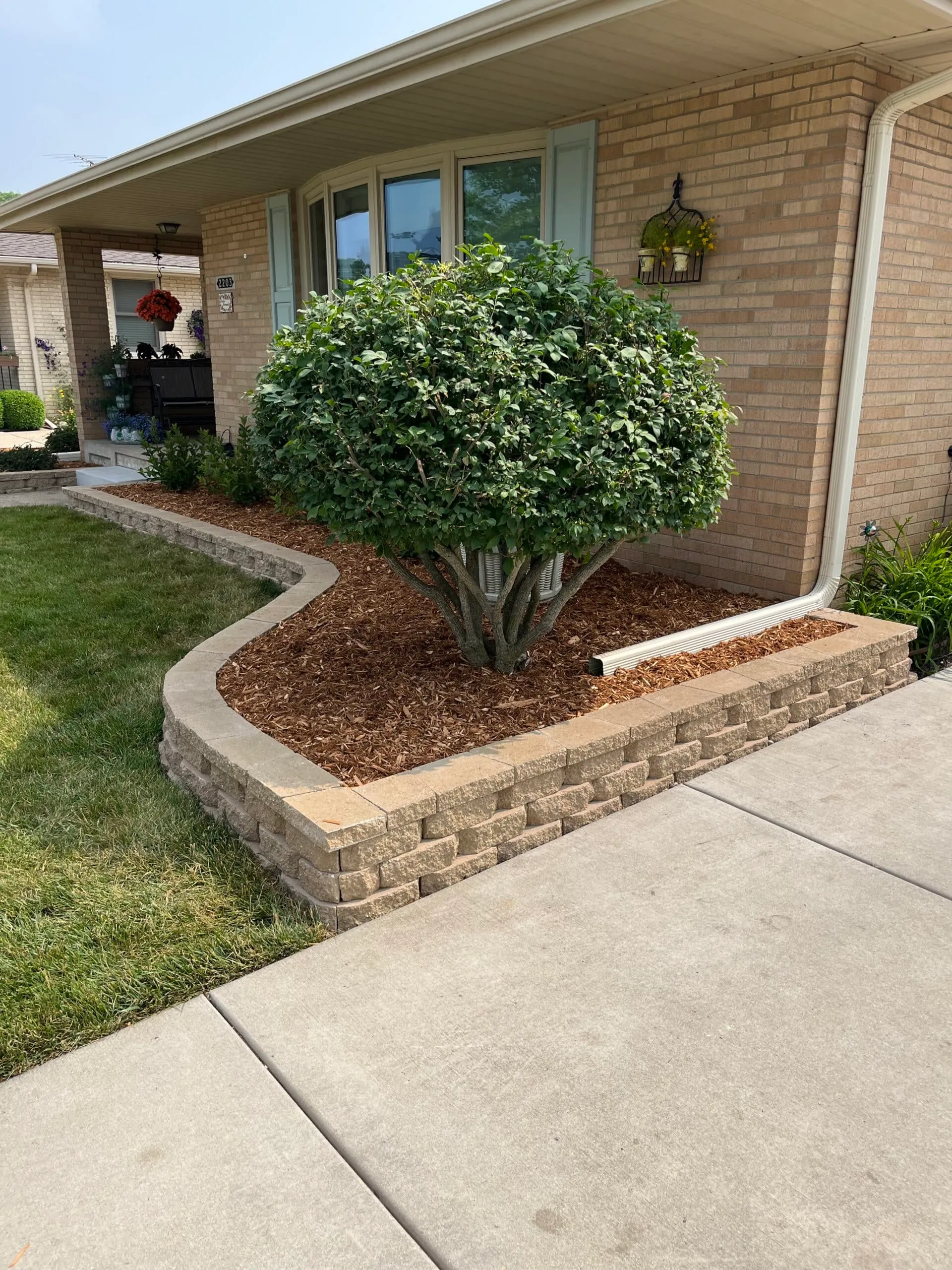 Planting bed with brick border and boxwood
